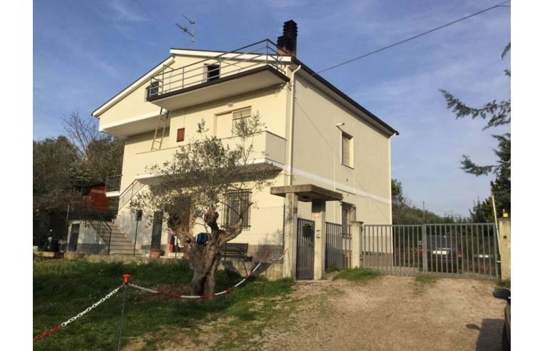 immagine annuncio 6 di 7