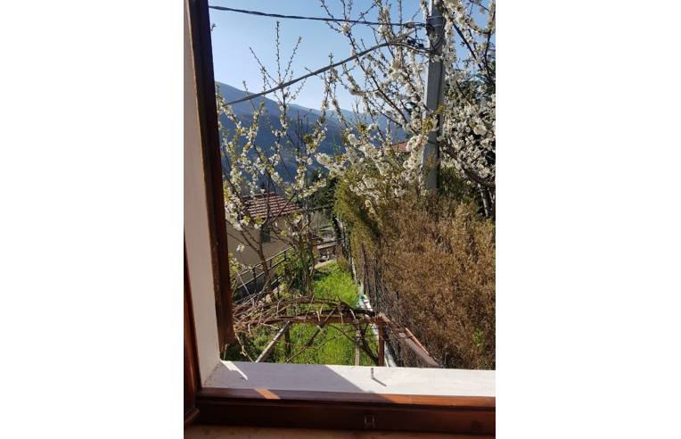 immagine annuncio 2 di 7