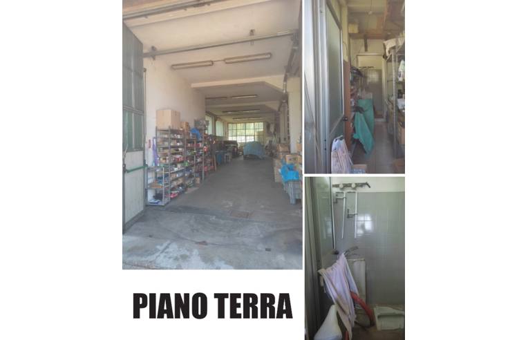 immagine annuncio 5 di 7