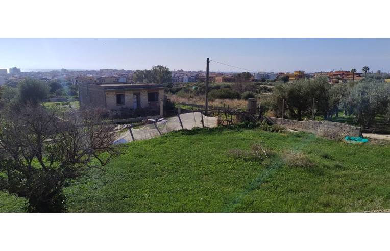 immagine annuncio 2 di 7