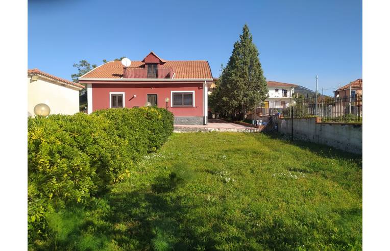 immagine annuncio 2 di 7