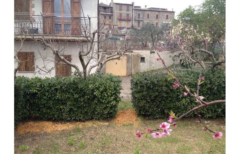 immagine annuncio 2 di 7