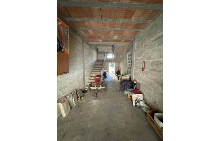 immagine annuncio 2 di 6