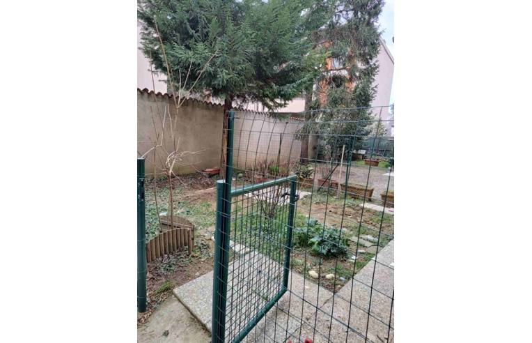 immagine annuncio 2 di 7