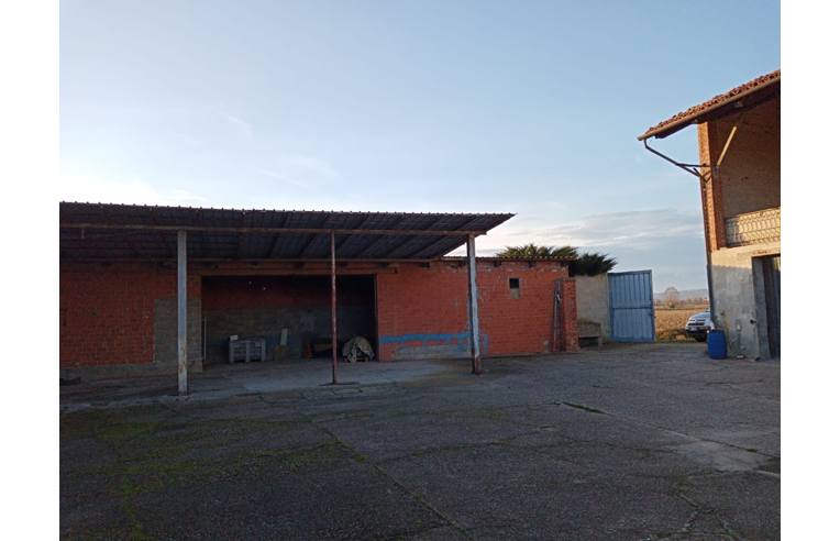 immagine annuncio 1 di 4