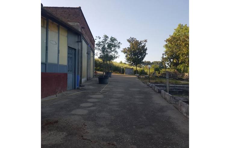 immagine annuncio 4 di 7