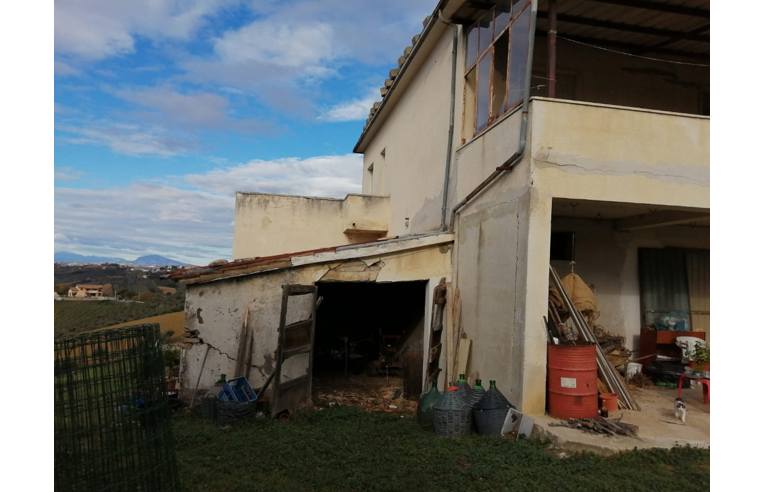 immagine annuncio 2 di 7