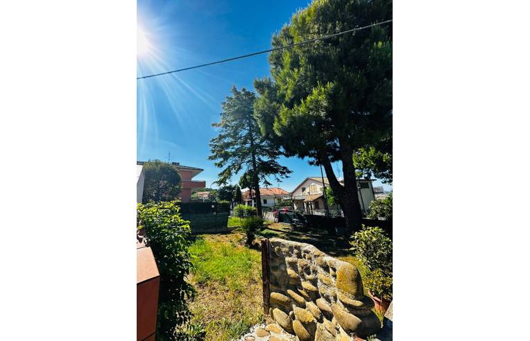 immagine annuncio 3 di 7