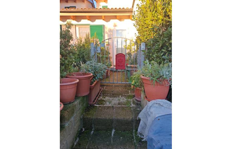 immagine annuncio 1 di 7
