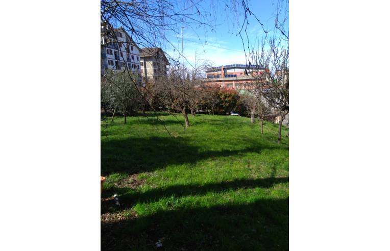 immagine annuncio 3 di 6