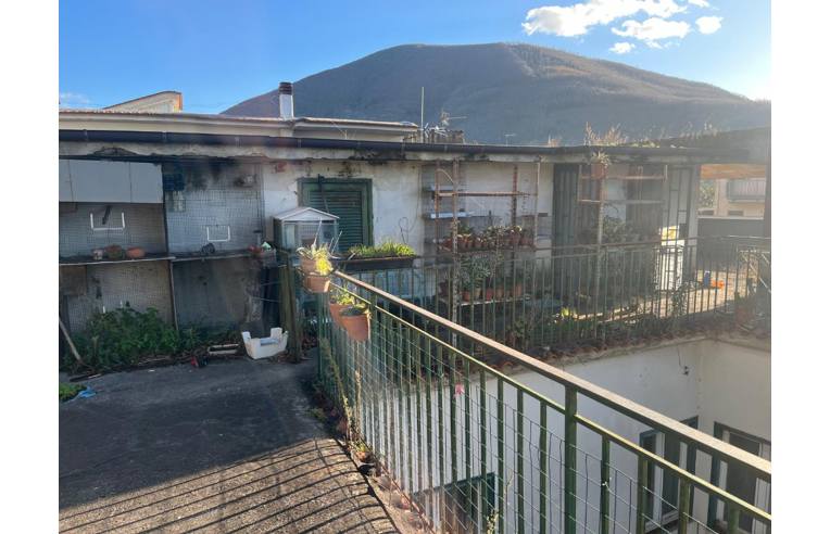 immagine annuncio 4 di 7