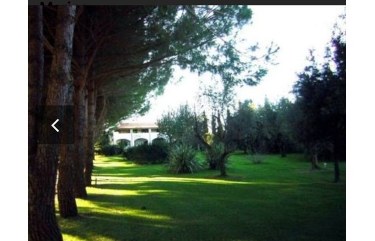 immagine annuncio 2 di 7