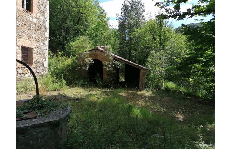 immagine annuncio 1 di 6