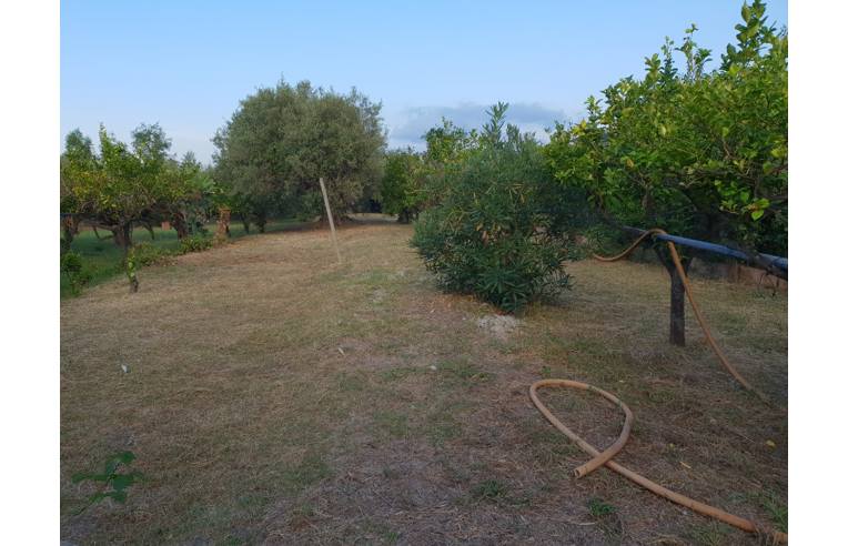 immagine annuncio 5 di 7