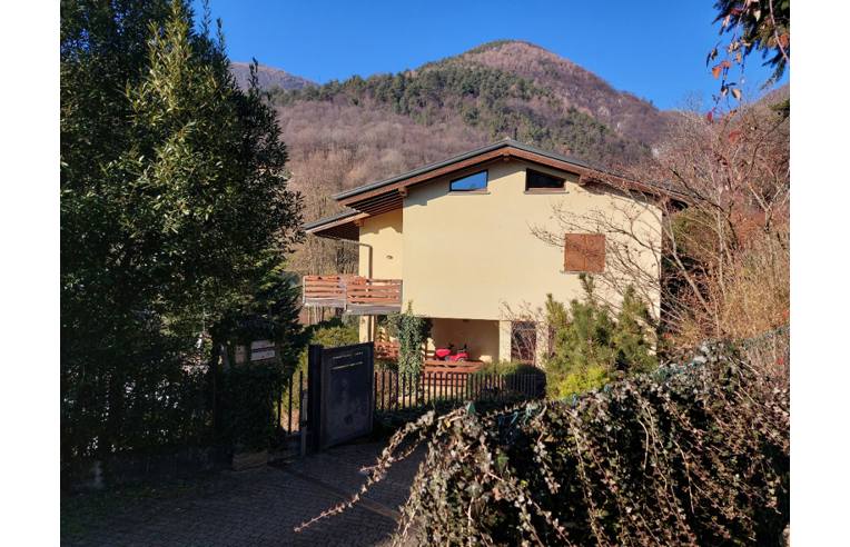 immagine annuncio 4 di 6