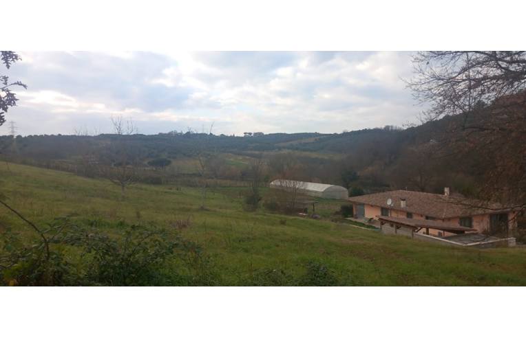 immagine annuncio 5 di 6