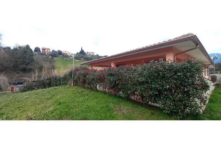immagine annuncio 1 di 6