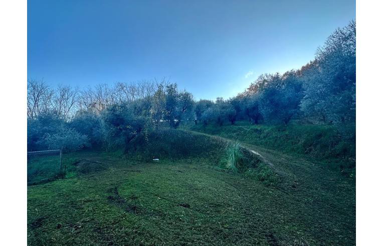 immagine annuncio 6 di 7