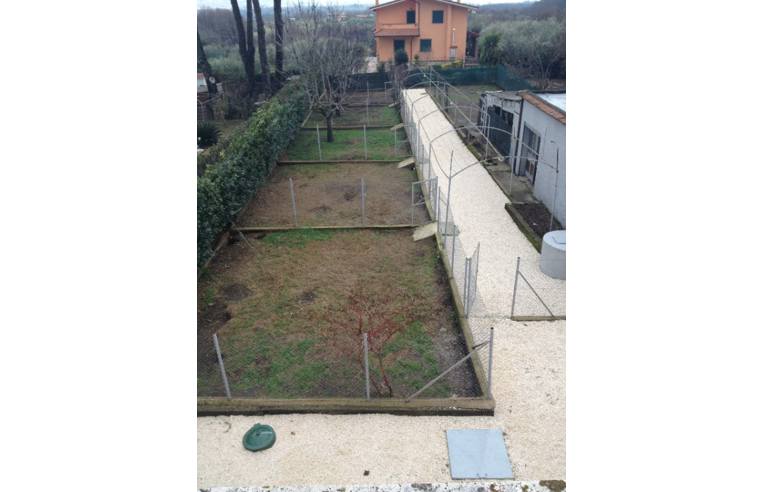 immagine annuncio 5 di 7
