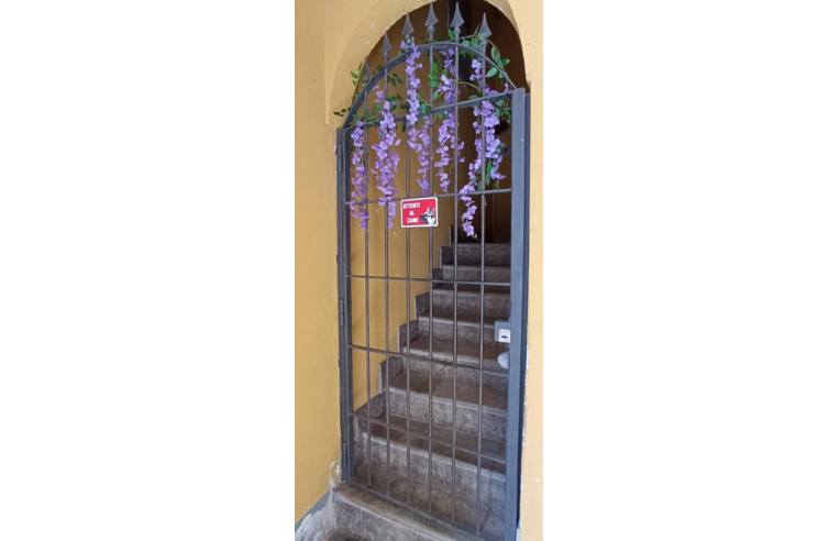 immagine annuncio 5 di 7