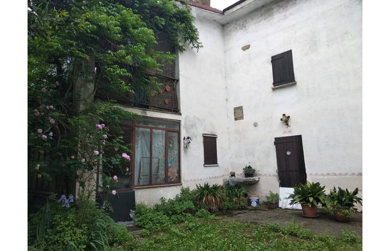 immagine annuncio 4 di 7
