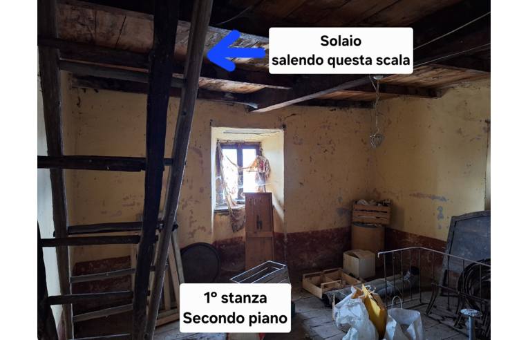 immagine annuncio 3 di 7