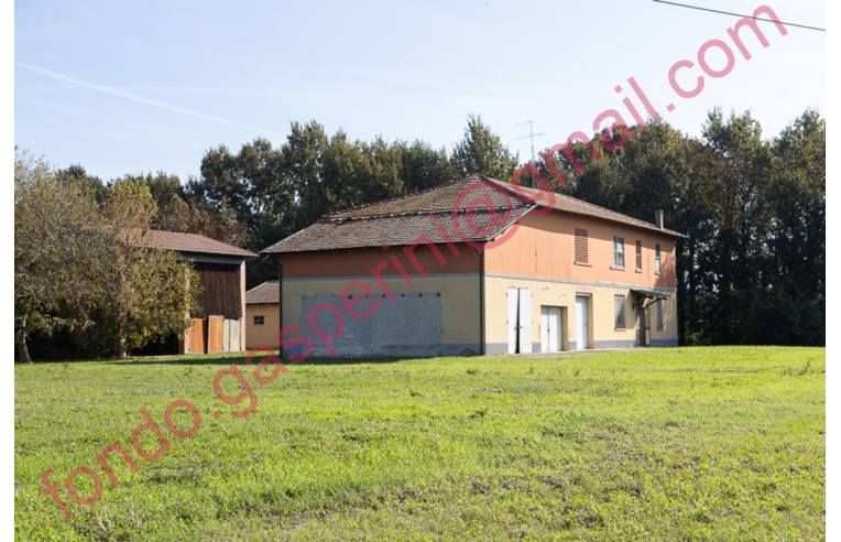 immagine annuncio 1 di 7