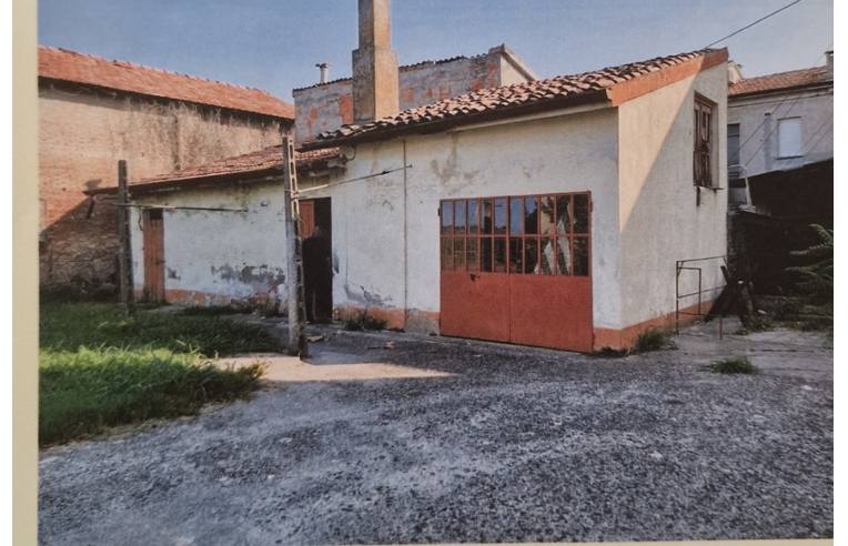 immagine annuncio 2 di 7
