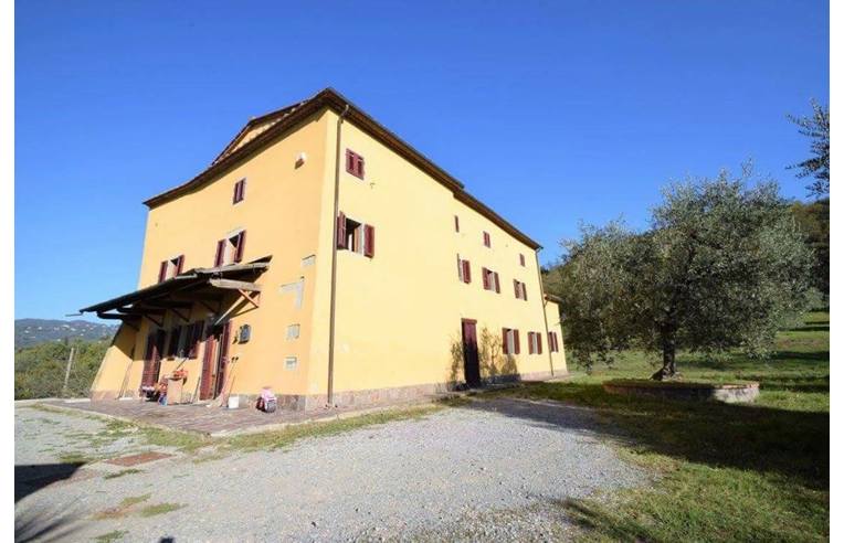 immagine annuncio 1 di 2