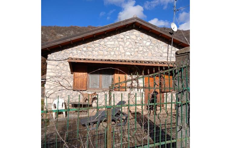 immagine annuncio 1 di 7