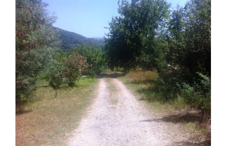 immagine annuncio 6 di 7