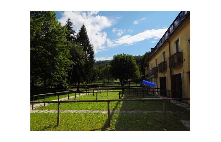 immagine annuncio 2 di 7