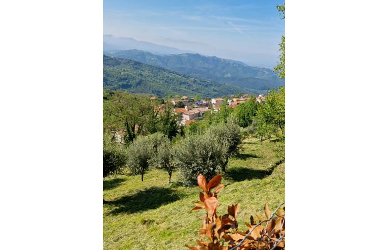 immagine annuncio 6 di 7
