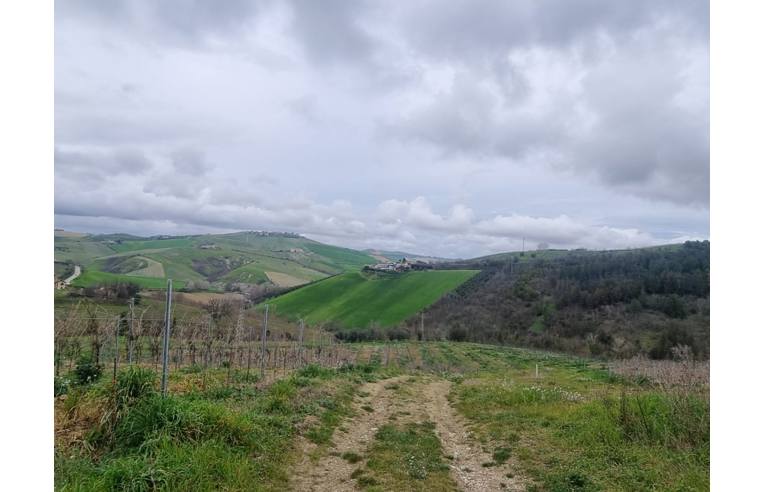 immagine annuncio 1 di 4