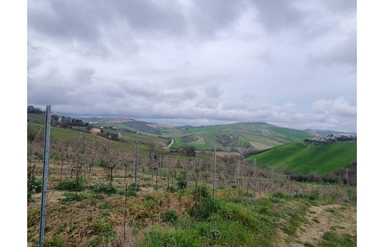 immagine annuncio 3 di 4