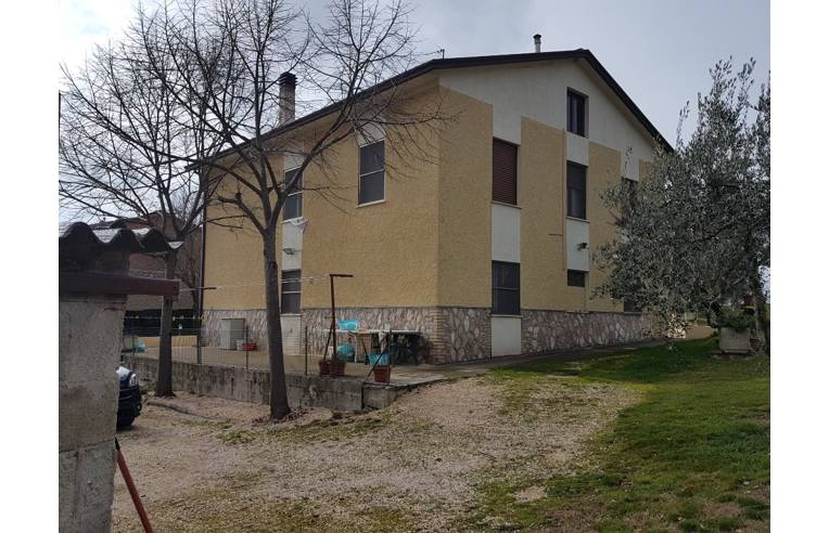 immagine annuncio 4 di 7