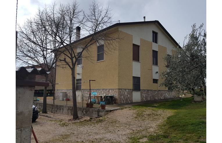 immagine annuncio 2 di 7