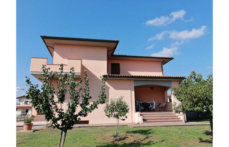 immagine annuncio 2 di 7
