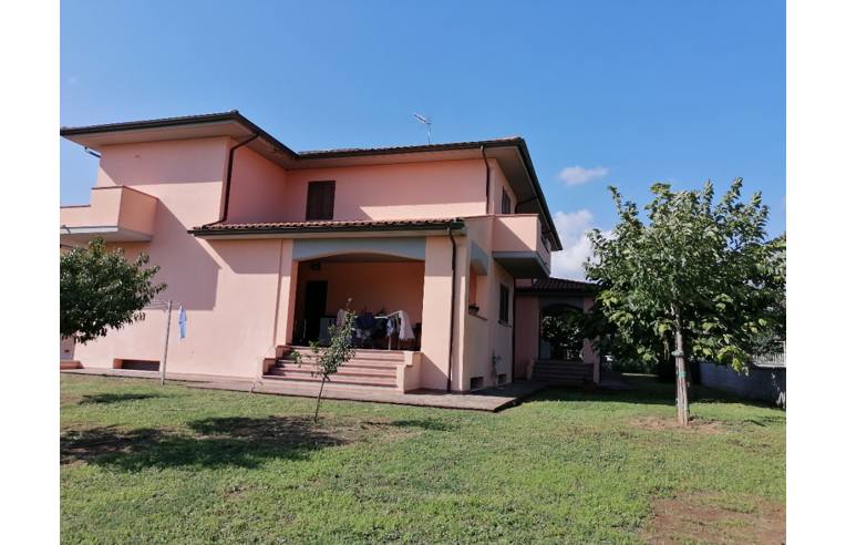 immagine annuncio 3 di 7