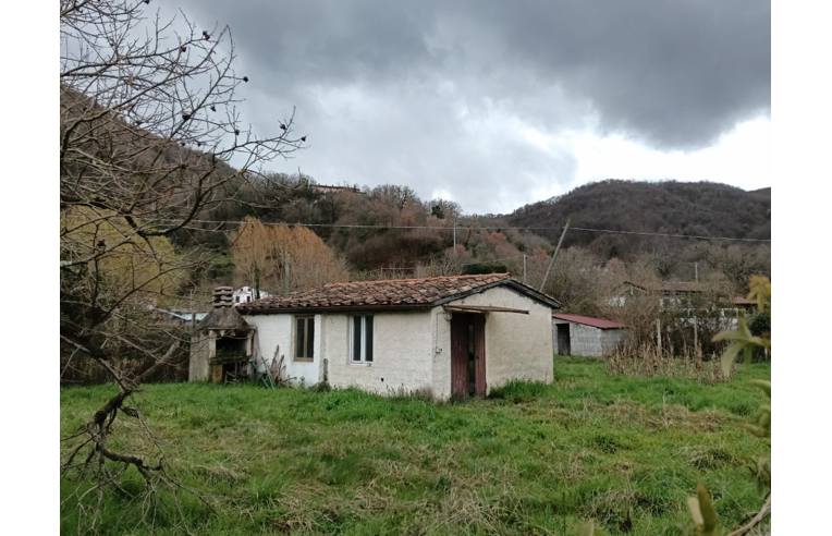 immagine annuncio 3 di 7