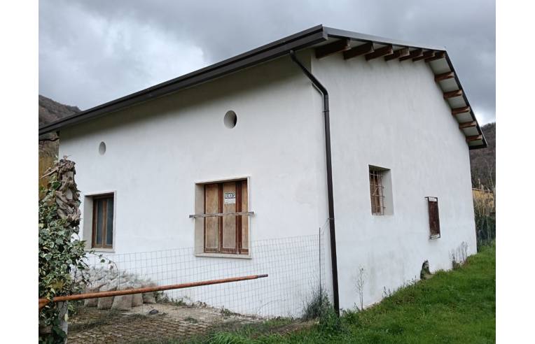 immagine annuncio 4 di 7