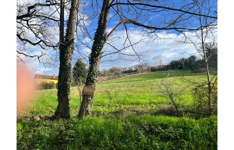 immagine annuncio 4 di 7