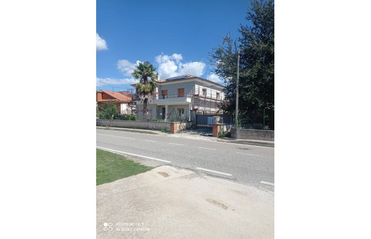 immagine annuncio 4 di 7