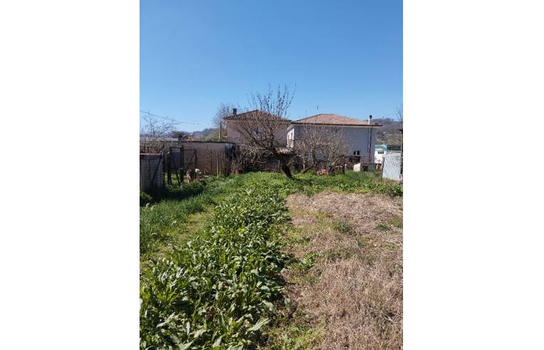 immagine annuncio 5 di 7