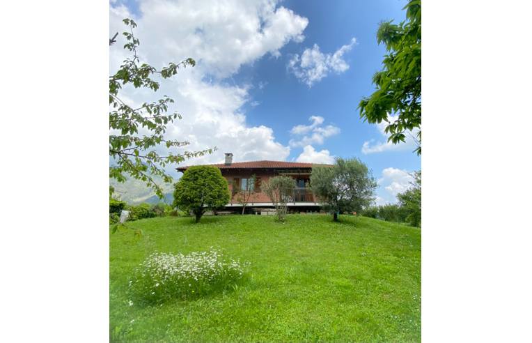 immagine annuncio 1 di 7