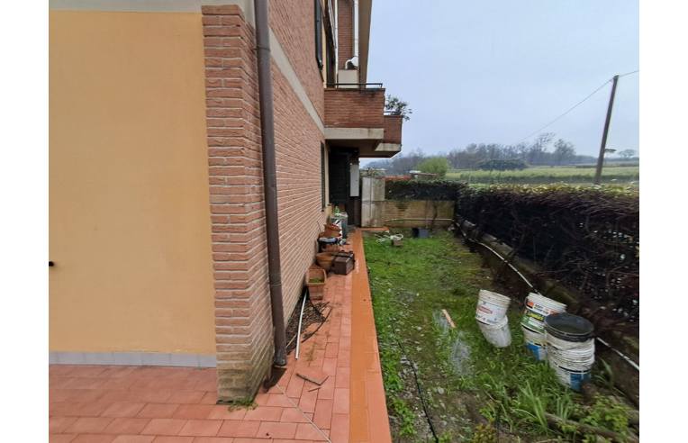 immagine annuncio 4 di 7