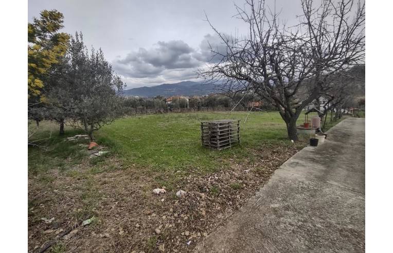 immagine annuncio 6 di 7