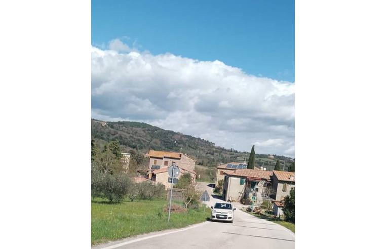 immagine annuncio 4 di 6