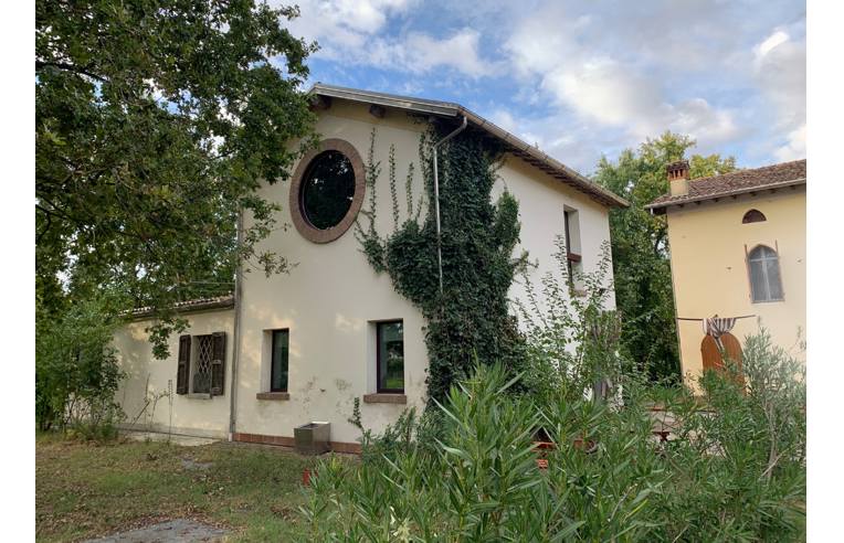 immagine annuncio 2 di 4