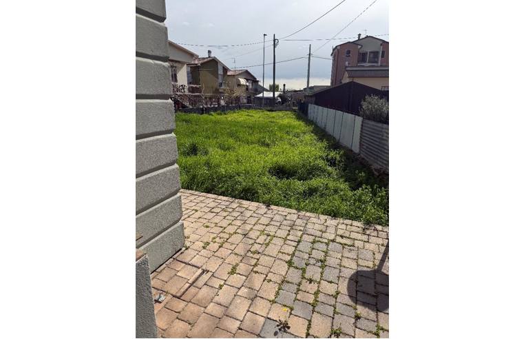 immagine annuncio 3 di 7